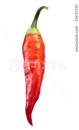 Aji Cristal chile-Capsicum baccatum, paths 33635395