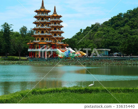 白鷺鷥散步蓮池潭 白鷺鷥散步蓮池潭 33635440
