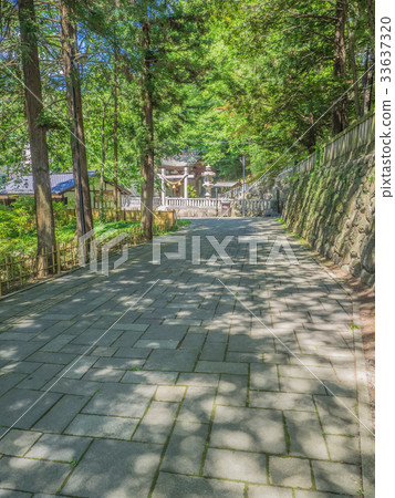 Nagano Prefecture Suwa Taisha Shimosha Akinomiya Nagano Prefecture Suwa Taisha Shimosha Akinomiya 33637320