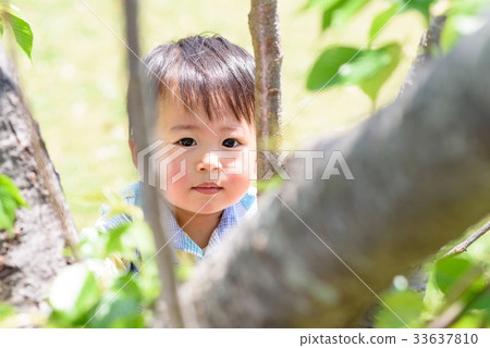 Boy peeking through a tree gap Boy peeking through a tree gap 33637810