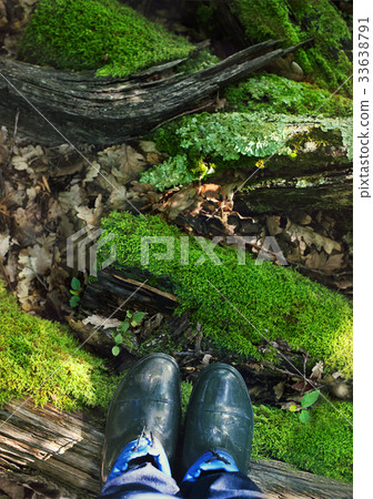 Rubber boots on the moss background Rubber boots on the moss background 33638791