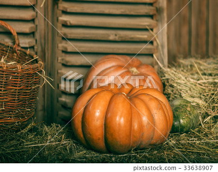 Close up of halloween pumpkins Close up of halloween pumpkins 33638907