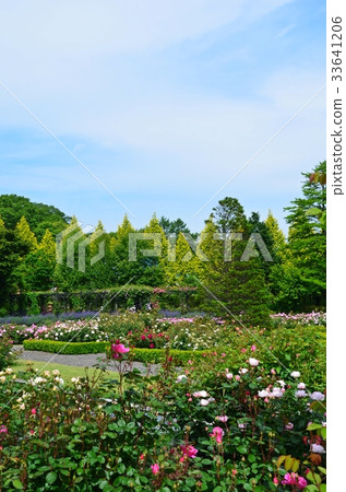 Fresh green Karuizawa lake garden and roses 33641206