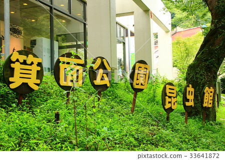 Minoh Park Insect Hall 33641872