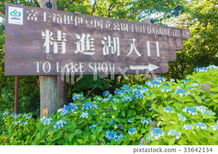Lake Shoji entrance information board 33642134