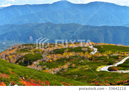 Autumn scenery of Norikura echo line 33642218