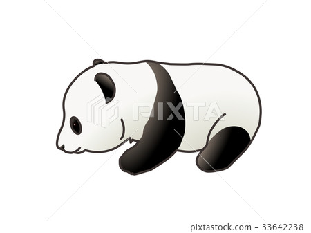 Child panda 10 33642238