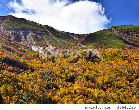 Autumn scenery of Norikura echo line 33642239