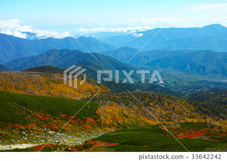 Autumn scenery of Norikura echo line 33642242