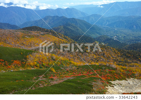 Autumn scenery of Norikura echo line 33642243