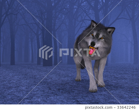 Wolf Wolf 33642246