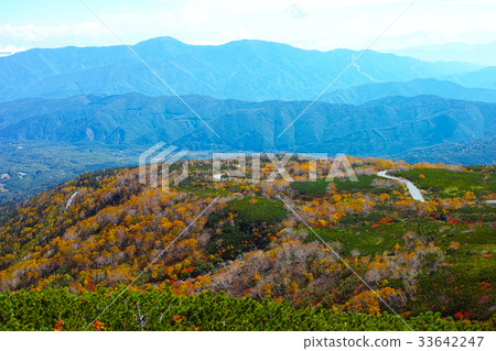 Autumn scenery of Norikura echo line Autumn scenery of Norikura echo line 33642247
