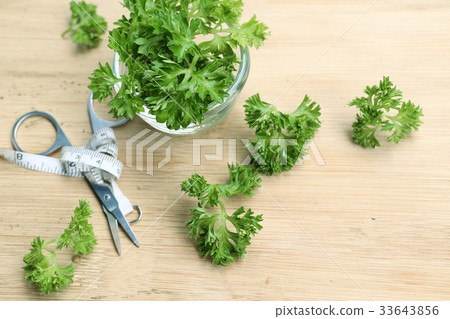 Parsley leaves 33643856