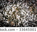 stone texture background. 33645001