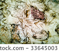 stone texture background. 33645003