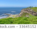 Tropical style garden by the ocean in a sunny day  33645152