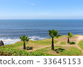 Palm trees and the garden by the ocean coast 33645153