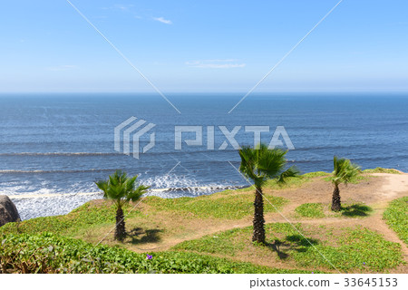 Palm trees and the garden by the ocean coast Palm trees and the garden by the ocean coast 33645153