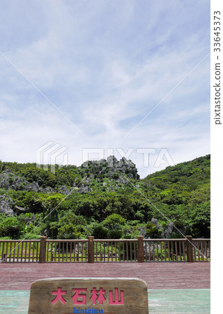 Okinawa Okinawa 33645373
