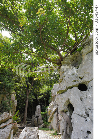 Okinawa Okinawa 33645447