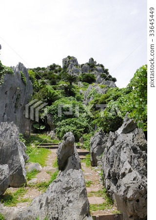 沖繩島 沖繩島 33645449