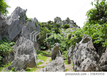 Okinawa Okinawa 33645450