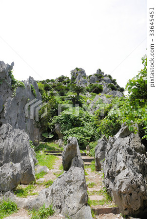 Okinawa Okinawa 33645451