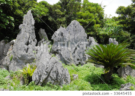 Okinawa Okinawa 33645455