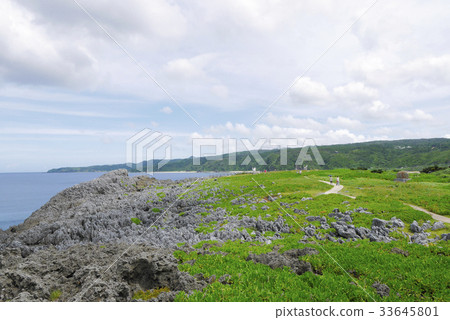 沖繩島 33645801