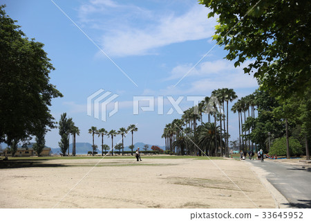 the isalnd of Okunoshima at japan the isalnd of Okunoshima at japan 33645952