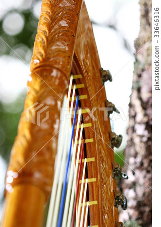 Latin Harp (Alpa, Parag Iron Harp) Latin Harp (Alpa, Parag Iron Harp) 33646316