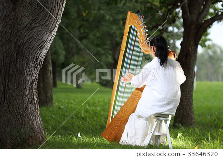 Latin Harp (Alpa, Parag Iron Harp) 33646320