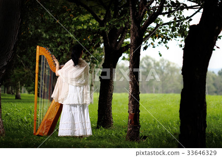 Latin Harp (Alpa, Parag Iron Harp) Latin Harp (Alpa, Parag Iron Harp) 33646329