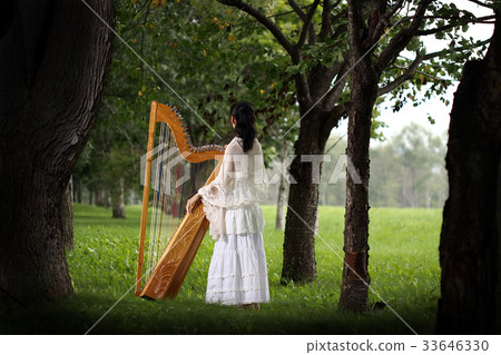 拉丁豎琴（Alpa，Parag Iron Harp） 33646330