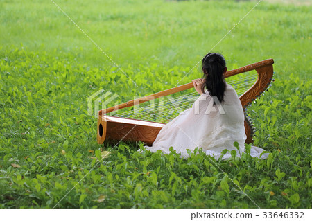 Latin Harp (Alpa, Parag Iron Harp) Latin Harp (Alpa, Parag Iron Harp) 33646332