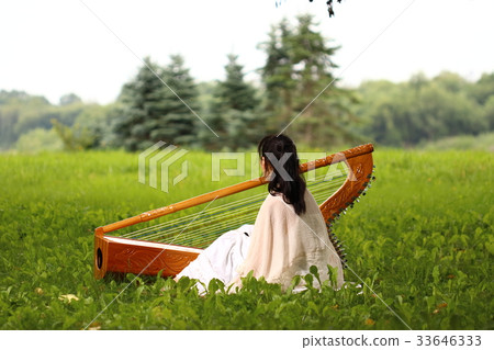 Latin Harp (Alpa, Parag Iron Harp) 33646333