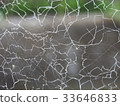 spiderweb  33646833