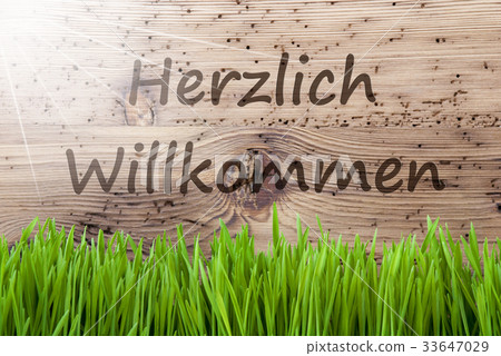 Background, Herzlich Willkommen Means Welcome 33647029