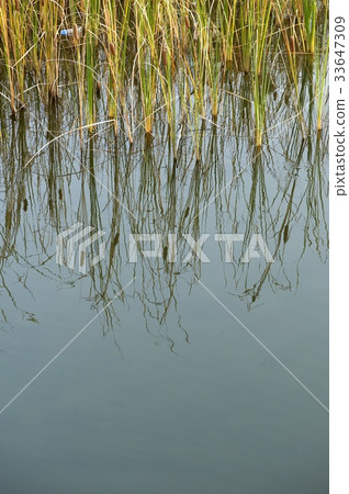 自來水廠 33647309