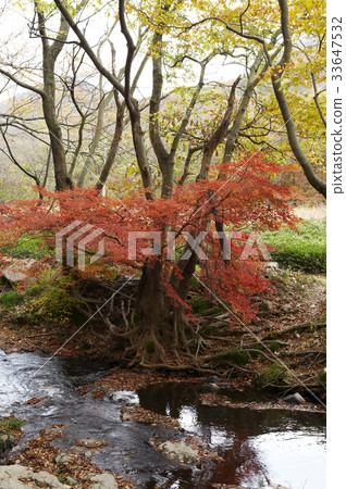 Valley, Seonun Mountain, Gochang-gun, Jeonbuk 33647532
