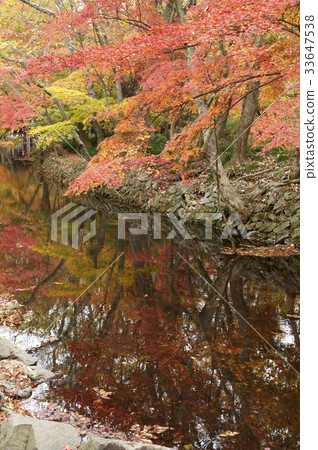 Valley, Seonun Mountain, Gochang-gun, Jeonbuk 33647538