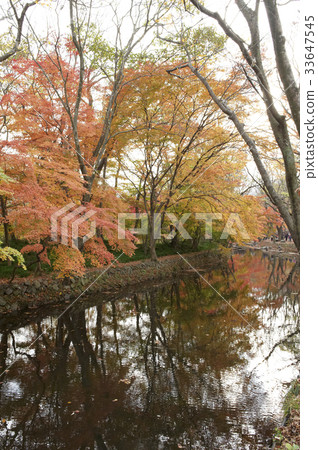 Valley, Seonun Mountain, Gochang-gun, Jeonbuk 33647545
