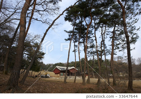 Seojungneung, Goyang City, Gyeonggi-do Seojungneung, Goyang City, Gyeonggi-do 33647644