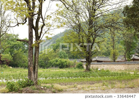 Kim Dongsoo's birthplace, Jeongeup, Jeonbuk Kim Dongsoo's birthplace, Jeongeup, Jeonbuk 33648447