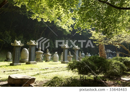 Busan, Jinsaek, Jeongeup, Jeonbuk 33648483