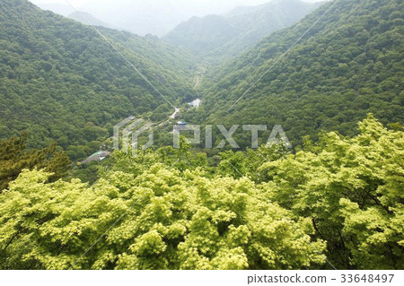 Nasan Nasan 33648497