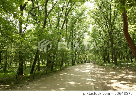 Trail, Korea 33648573