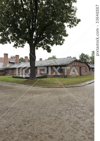 Auschwitz, Poland 33648887