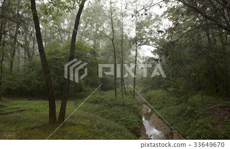 Guryeong, Hwaseong-si, Gyeonggi-do Guryeong, Hwaseong-si, Gyeonggi-do 33649670