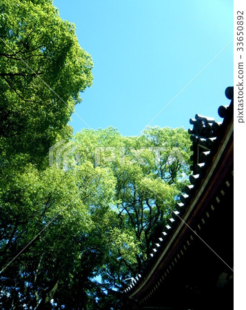 Nature of shrine grounds 33650892
